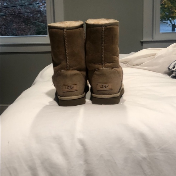 Shoes - Picture 2 of 5